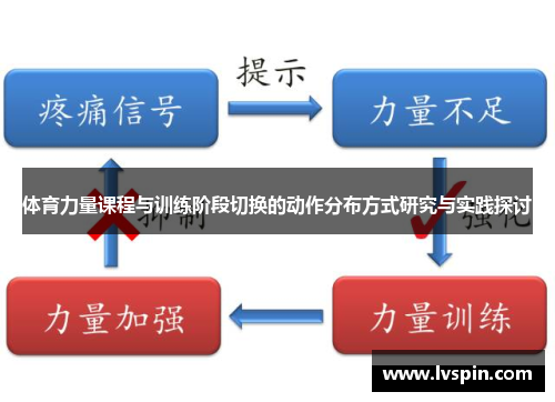体育力量课程与训练阶段切换的动作分布方式研究与实践探讨