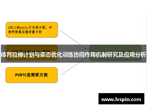 体育拉伸计划与姿态优化训练协同作用机制研究及应用分析